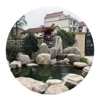 泰山石 大小景观水处理巩固泥土绿地草坪点缀园林造景石批发